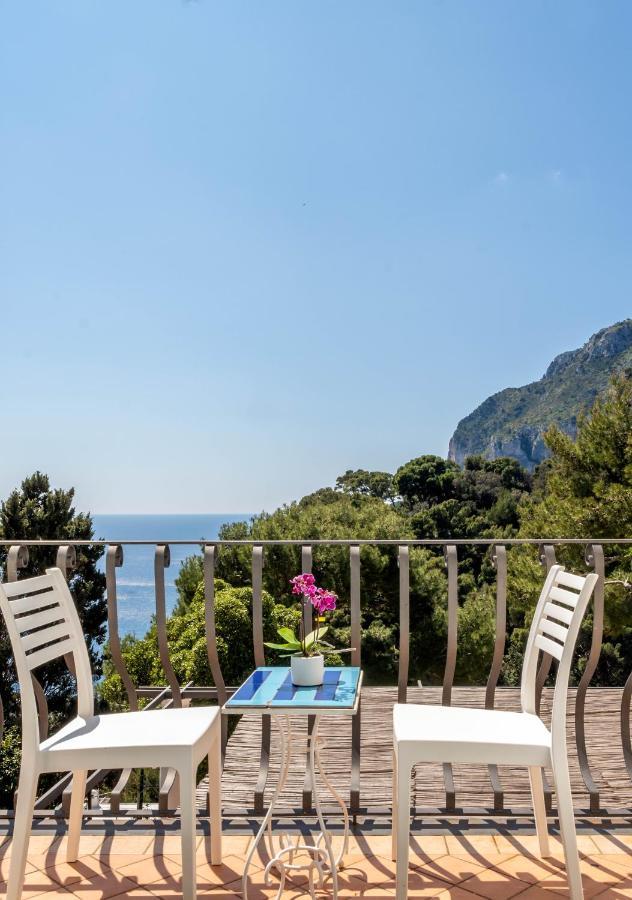 Oliveto Capri Apartments 외부 사진